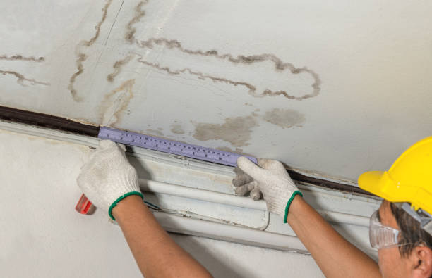 Reliable Water Damage contractor in Orchard, CO by Water Damage Irwin
